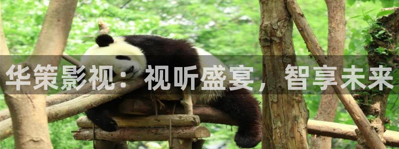 下载一个西瓜影院