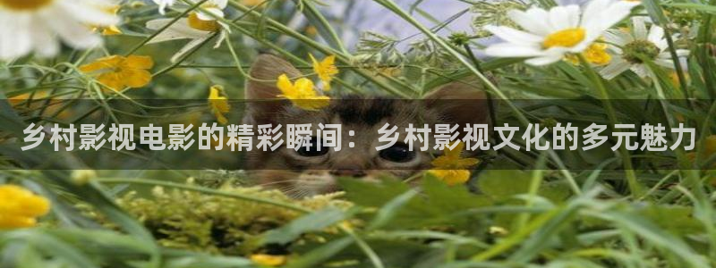 西瓜 影院