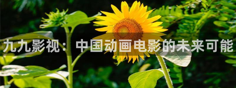 开始推理吧在线观看免费高清西瓜