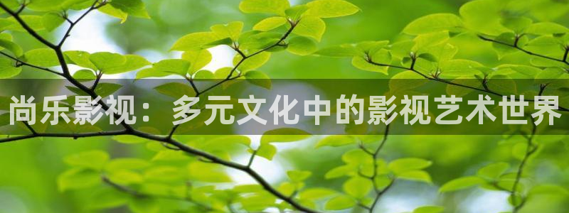 人生之路免费高清观看西瓜