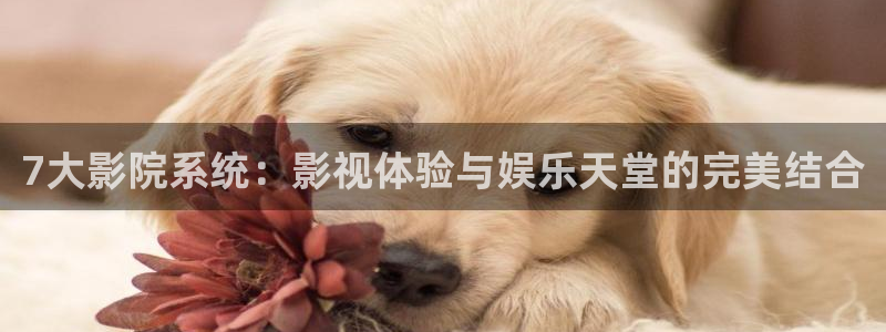 人生之路电视剧免费观看西瓜影院