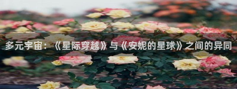 西瓜影视免费在线观看