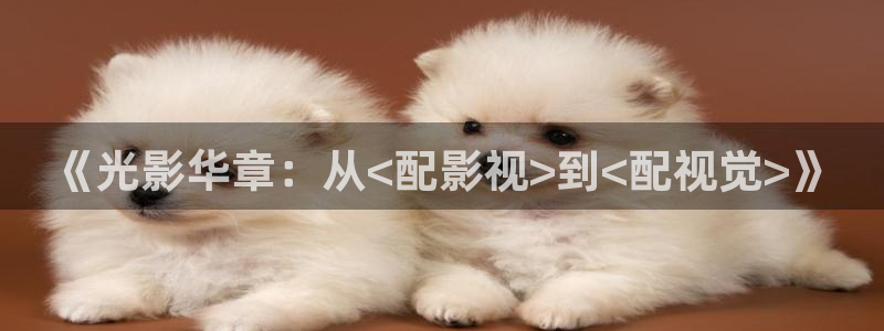西瓜西瓜
