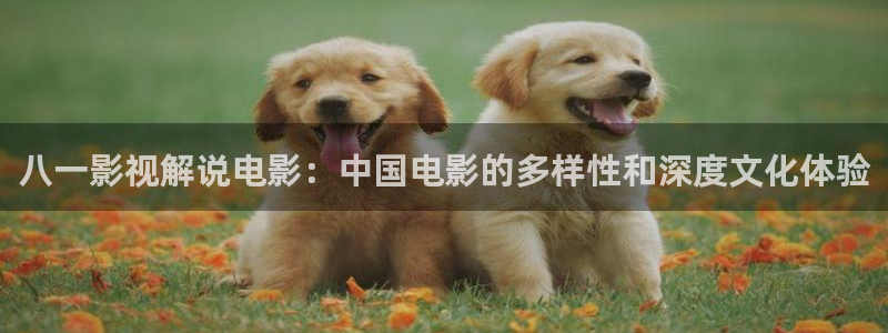 闪亮的西瓜完整版免费观看