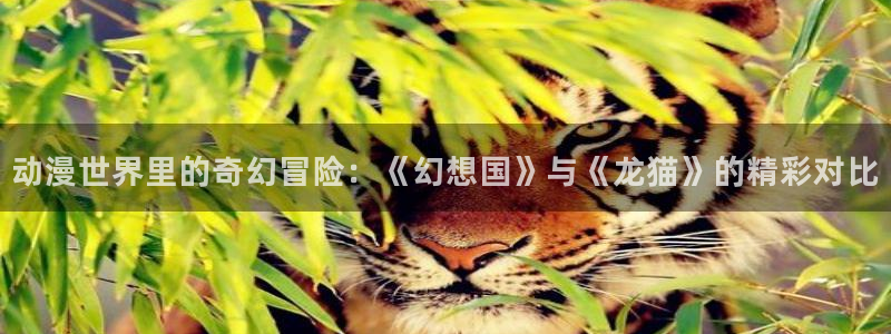 西瓜视频安装