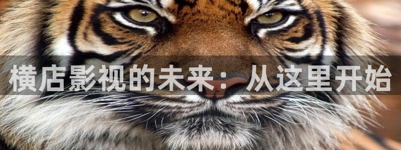 西瓜影院电视剧免费