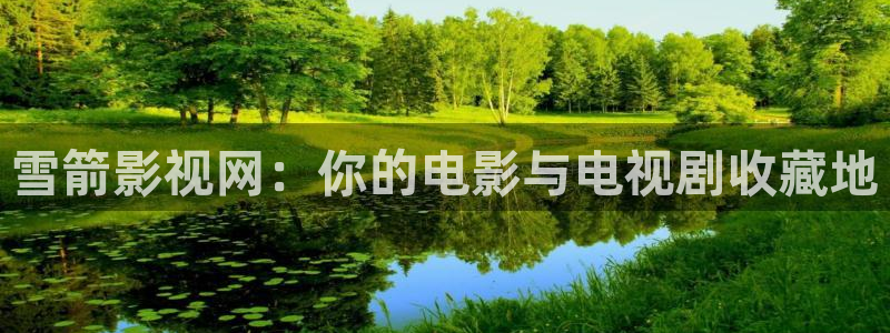 搜索西瓜视频