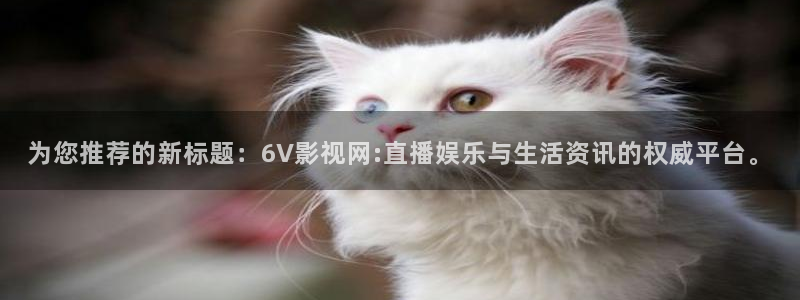 大决战之辽沈战役在线观看西瓜