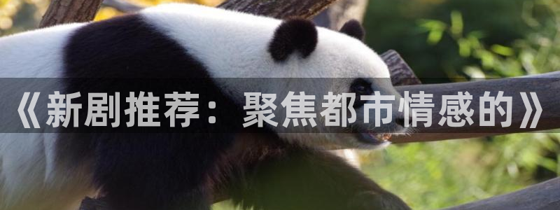2021最好看西瓜电影