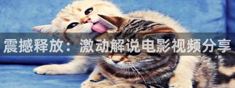 放羊的星星西瓜影院