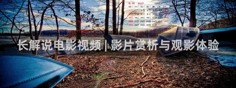 我的后半生免费观看西瓜网