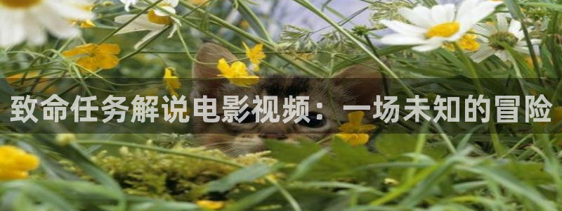 御赐小仵作全集免费观看西瓜