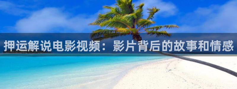 南风知我意西瓜免费观看完整版