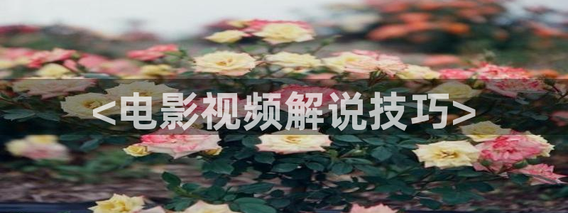 西瓜大兴