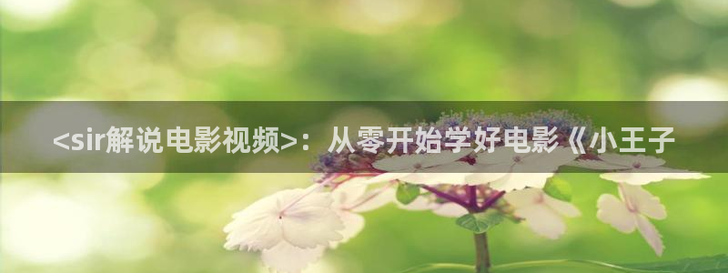 西瓜免费观看电视剧
