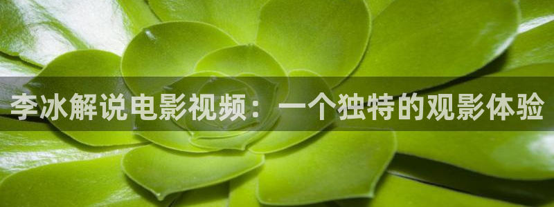 反转人生西瓜影院