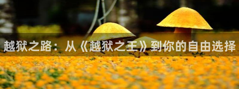 高端 西瓜