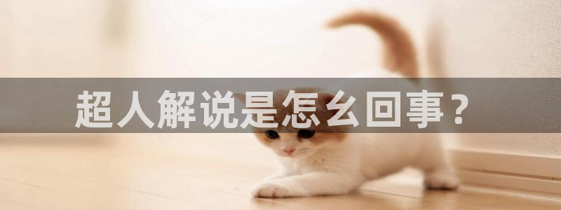 退休返聘一至100集免费观看西瓜