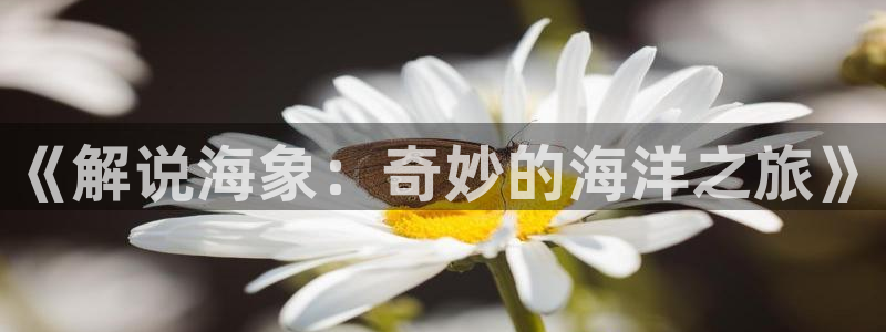 西瓜电影天堂