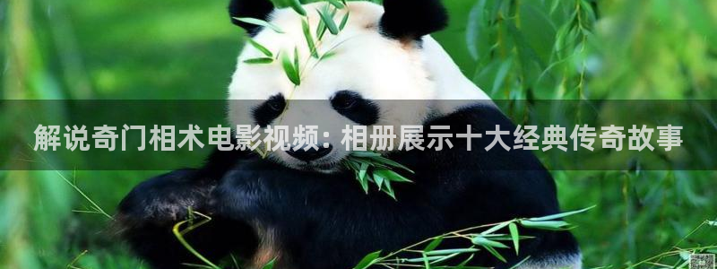 唐人街探案1在线观看完整版西瓜