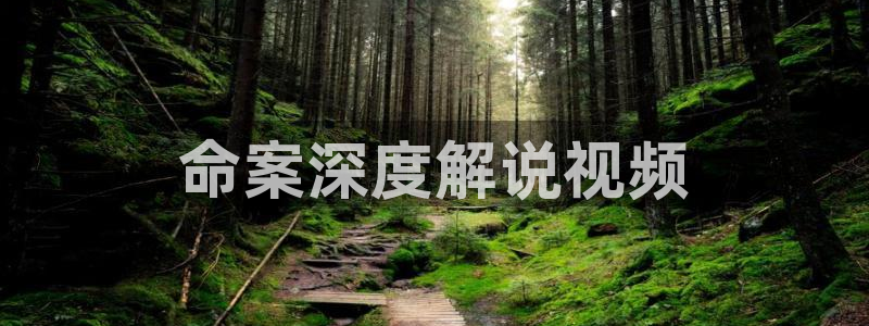 双镜免费观看完整版西瓜