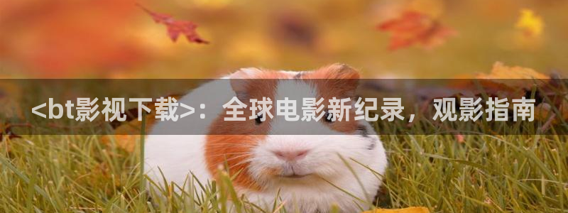 西瓜视频免费在线看