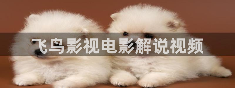 西瓜影院bd