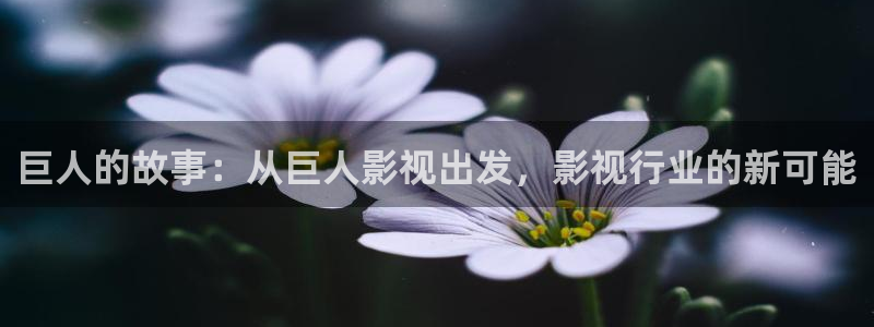 电视剧西瓜免费观看