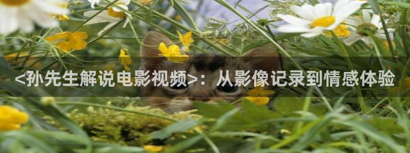 哈密瓜西瓜