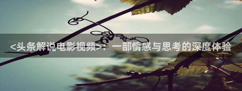 人世间西瓜免费观看高清