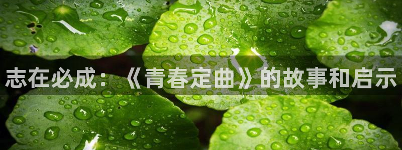 枪花全集免费观看西瓜