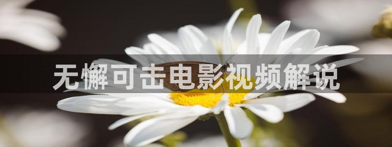 寂静岭在线观看免费观看西瓜