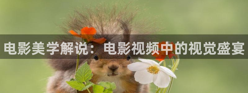 谈判官完整版免费观看西瓜