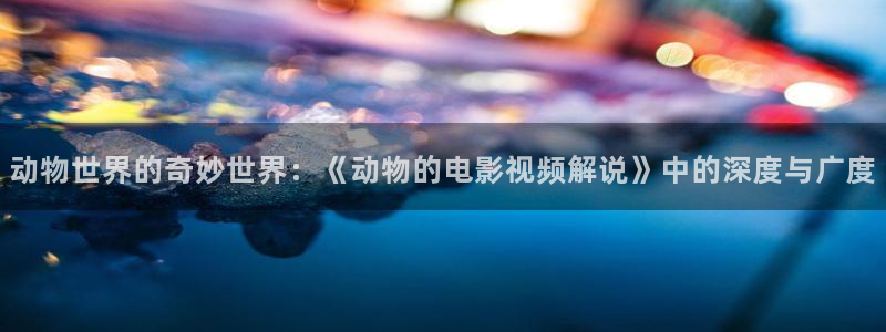 西瓜视频网
