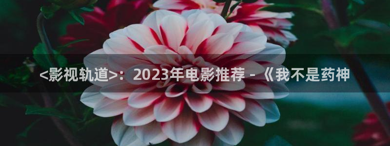 西瓜视频看电视剧免费吗