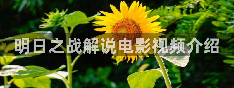 西瓜免费电影