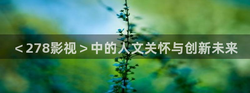 我们不能是朋友西瓜免费观看