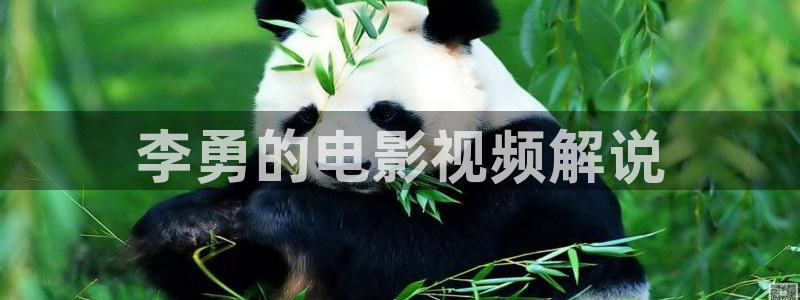 西瓜电影院手机免费