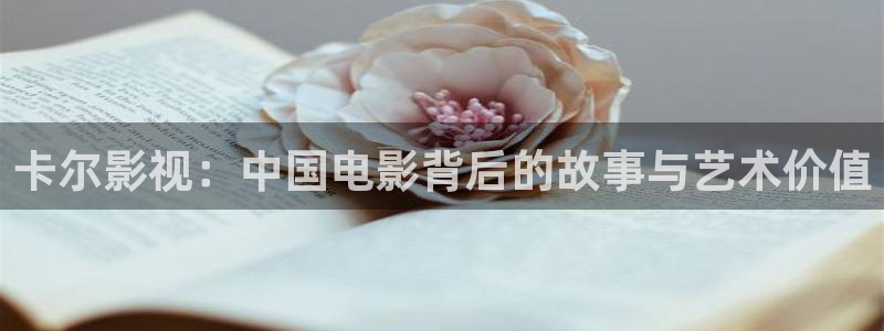 你微笑时很美西瓜影院