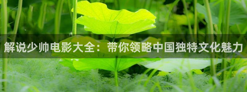 在线西瓜电影